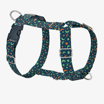 front view of harness