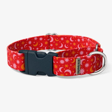front view of collar