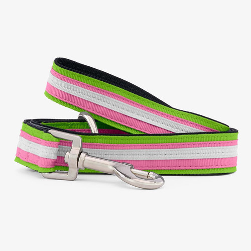Striped Comfort Dog Leash Striped Comfort Dog Leash
