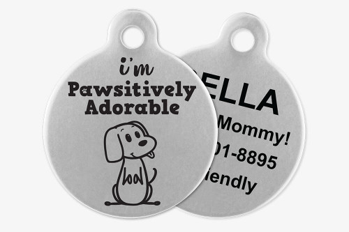 I'm Pawsitively Adorable - Stick Dog Pet Tag