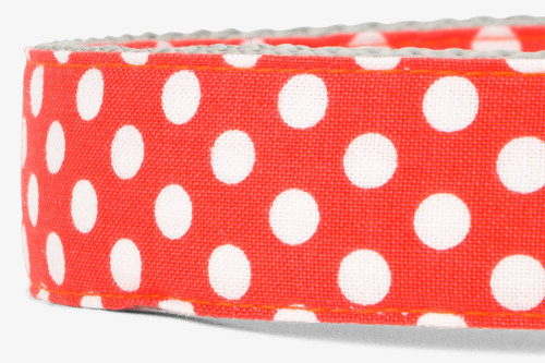 Clementine Dots Fabric Dog Collar