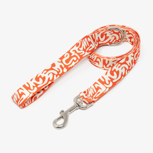 Abstract Coral Dog Leash