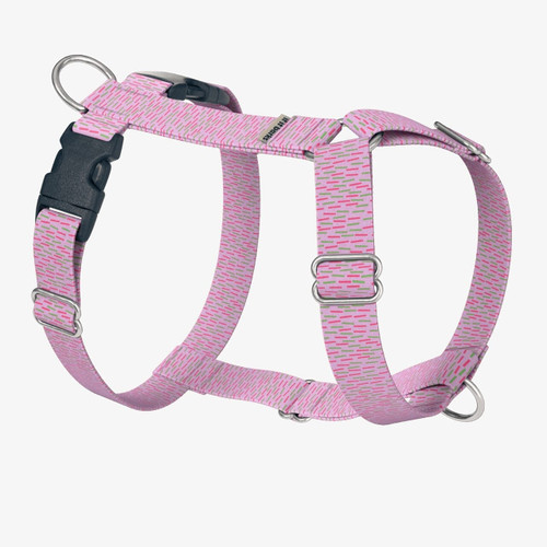 front view of harness front view of harness