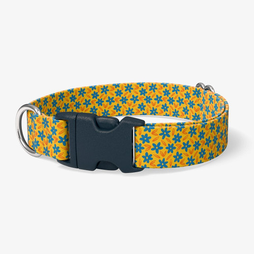 image of front of collar. image of front of collar.