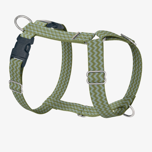 front view of harness front view of harness