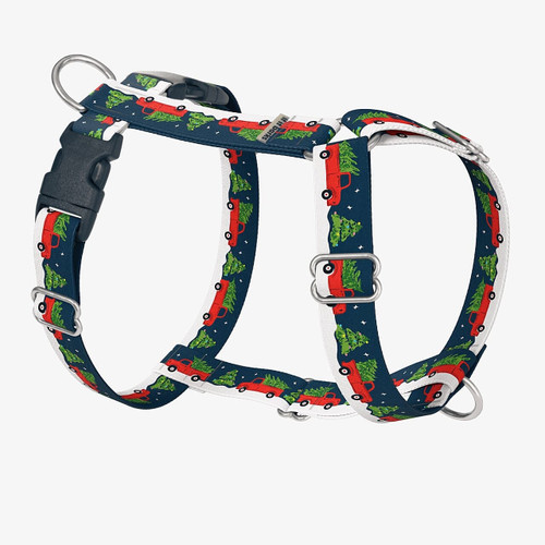 front view of harness