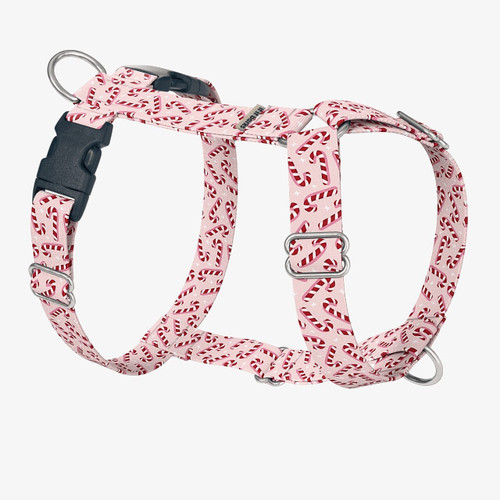 front view of harness
