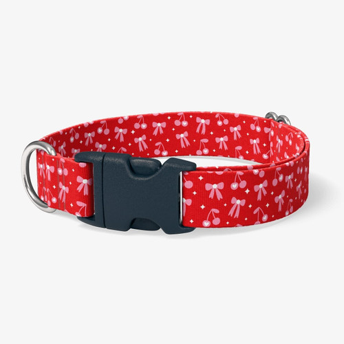 image of front of collar.