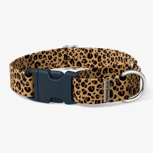 front view of collar