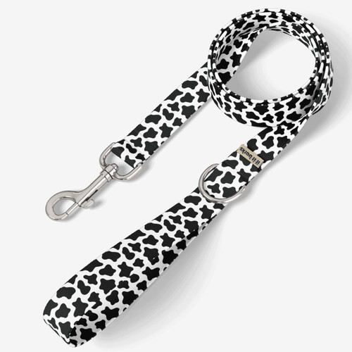 front view of leash