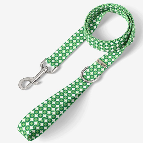 front view of leash