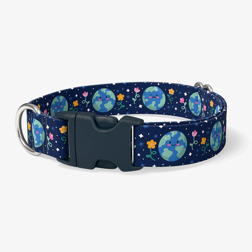 image of front of collar.