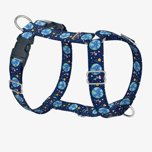 front view of harness