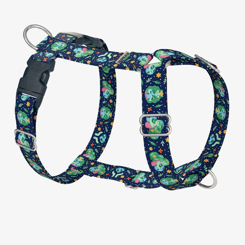 front view of harness