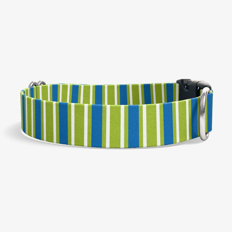 Vertical Stripe Dog Collar