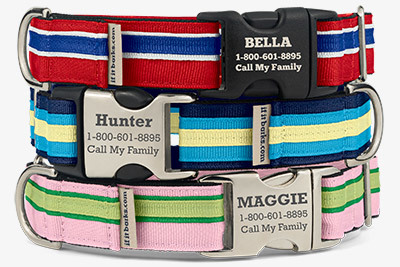 personalized martingale dog collars