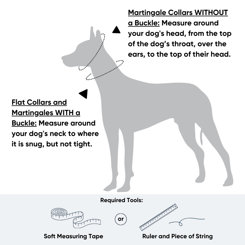 Dog Collar Width