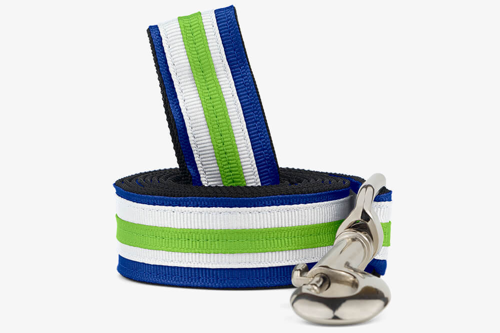 Dog Leashes Custom & Personalized If It Barks