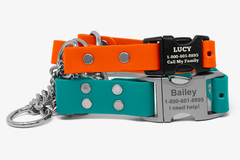 Martingale Dog Collars Custom Martingale Dog Collars By If It Barks