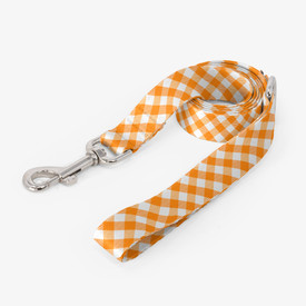 Orange Gingham Dog Leash
