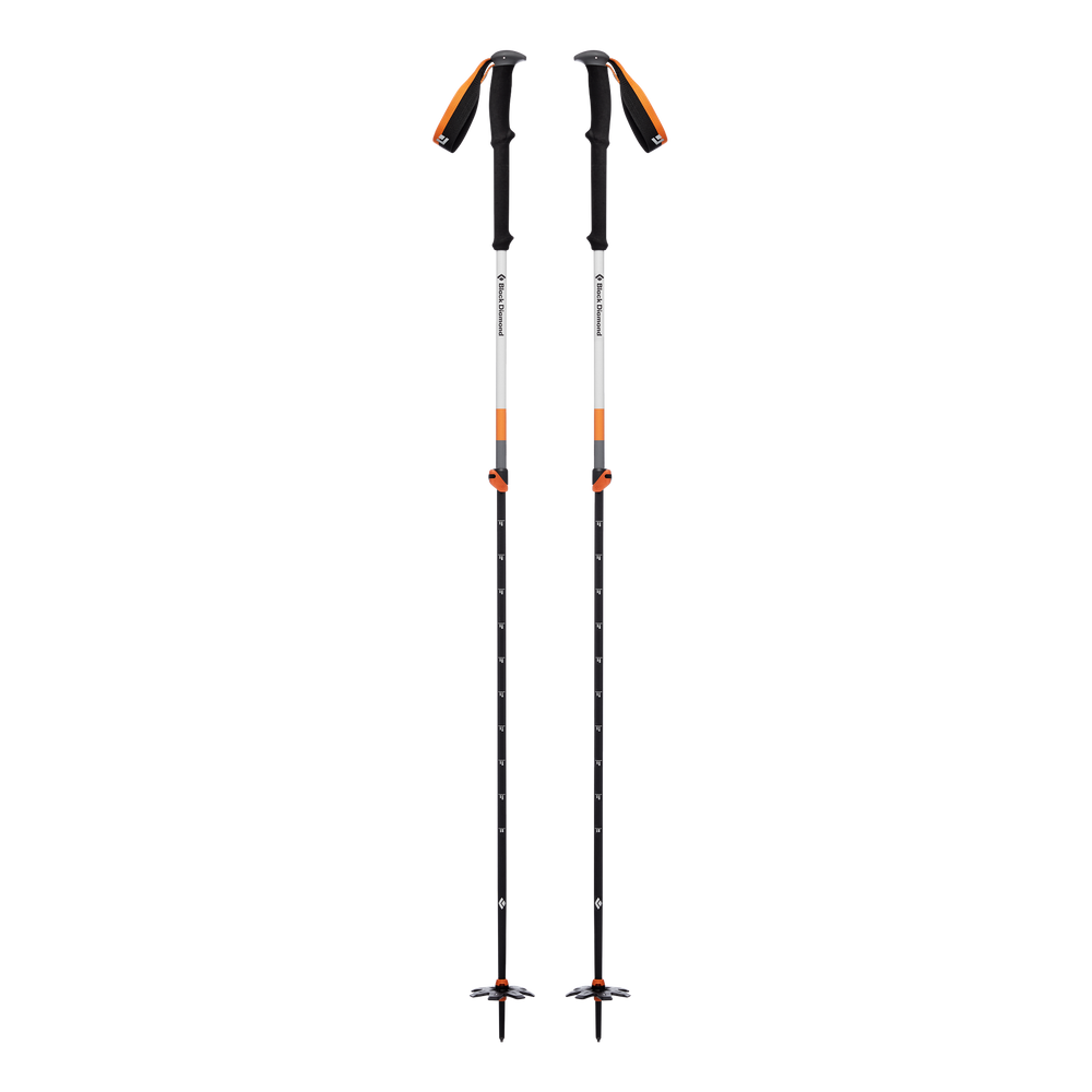 black diamond expedition 2 ski poles