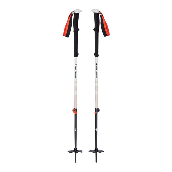 Expedition 2 Ski Poles