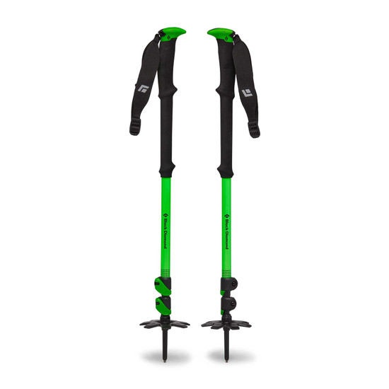 Expedition Whippet Ready 3 Ski Poles