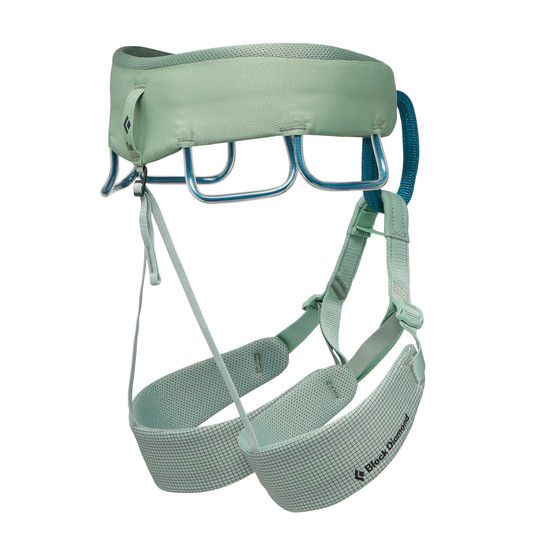 Black Diamond Kids' Momentum Harness