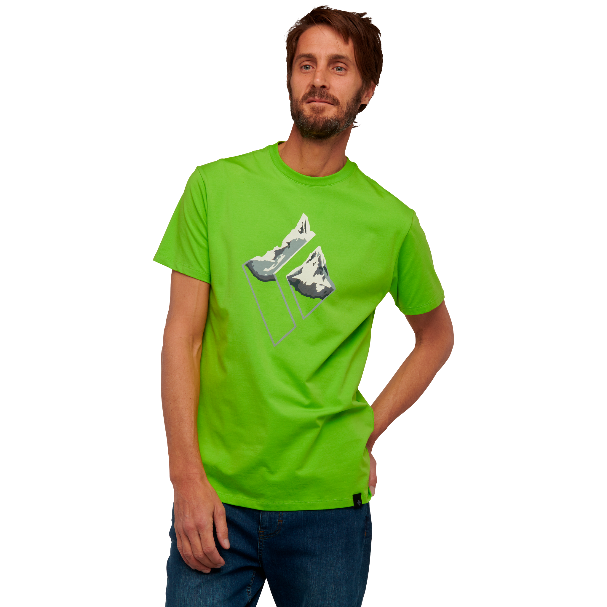 Black Diamond Equipment Men's Mountain Logo T-Shirt, Large Lime Green