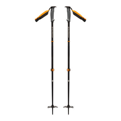 Traverse WR 2 Ski Poles - Past Season