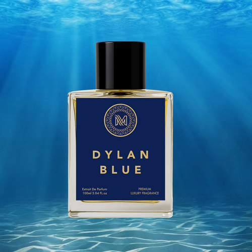 Versace Pour Homme Dylan Blue Cologne