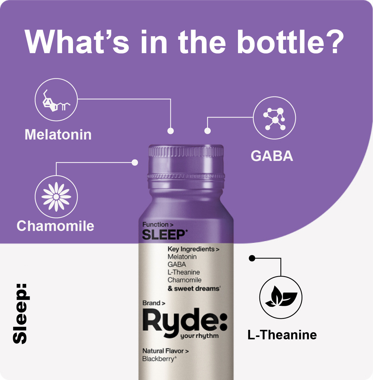 whatsInBottle Image