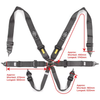 Harness FIA 6 Point Camlock 3in Black Homologated
