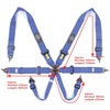 Harness FIA 6 Point Camlock 3in Blue Homologated