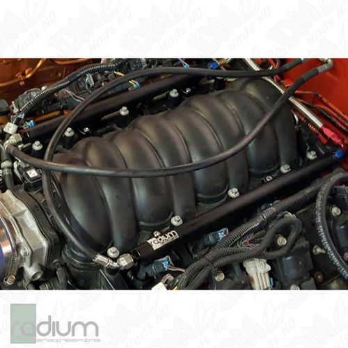 Radium Fuel Rails - GM LS Engine