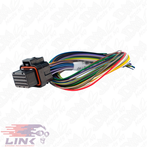 Link B Loom Short (0LB)