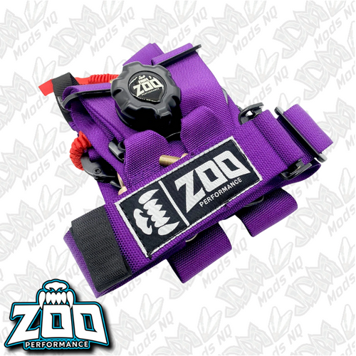 Zoo Performance 2" FIA Approved 6-Point Race Harness - Purple