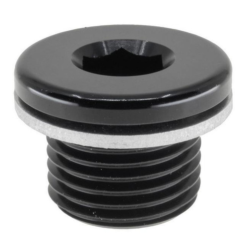Raceworks Metric Hex Plugs With Washer