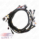 Link G4X StormX ECU + Terminated LS Engine Harness Drive-by-Cable Bundle