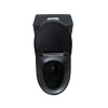 Alma Matte Black One-Piece Ceramic Toilet 1.1/1.6 GPF Dual Flush with Soft Close Seat