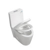 Alma Glossy White One-Piece Ceramic Toilet 1.1/1.6 GPF Dual Flush with Soft Close Seat