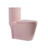 Alma Pink One-Piece Ceramic Toilet 1.1/1.6 GPF Dual Flush with Soft Close Seat