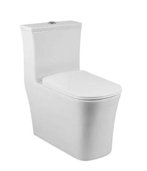 SFC One Piece Dual Flush Toilet  W/ Soft Closing Seat 