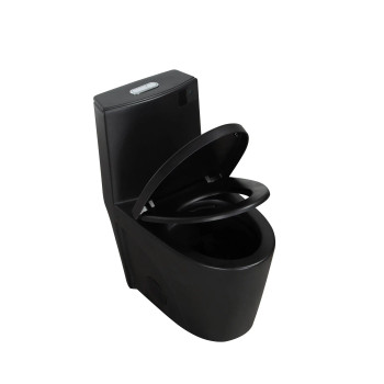 Alma Matte Black One-Piece Ceramic Toilet 1.1/1.6 GPF Dual Flush with Soft Close Seat