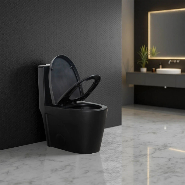Alma Matte Black One-Piece Ceramic Toilet 1.1/1.6 GPF Dual Flush with Soft Close Seat