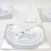 Luxe Party Flower Collection Clear w/ Silver Rim Plastic Plates