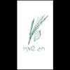 Hand Drawn Chag Sameach Disposable Airlaid Buffet / Guest Napkins - Pack of 16