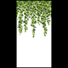 Hanging Ivy Curtain Disposable Airlaid Buffet / Guest Napkins - Pack of 16