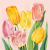 Boston International Spring Tulips Rose Lunch Napkins, Soft 3-Ply Floral Paper Napkins, Decorative Disposable Table Napkins for Dining, Parties & Entertaining