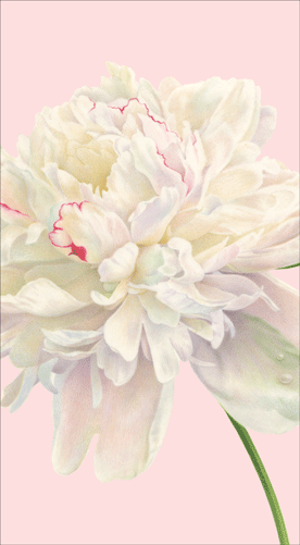 Caspari Duchess Peonies Guest Towel Napkins - Thumbnail 5